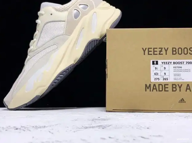 Adidas 700 EG7596 Boost Analog Yeezy 0701